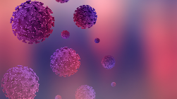 Геморагическая лихорадка