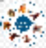 Иксодовые клещи 